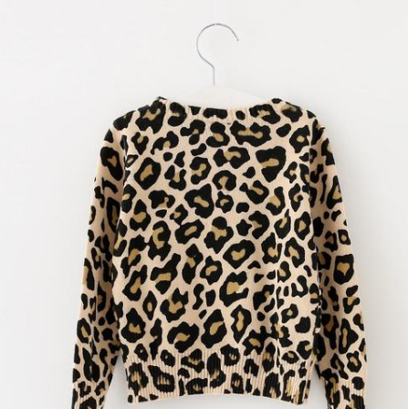 Leopard Leopard Sweater